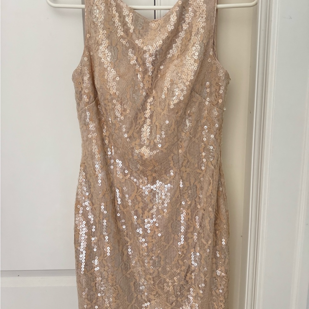 Adrianna Papell Sequin Lace Dress - Champagne